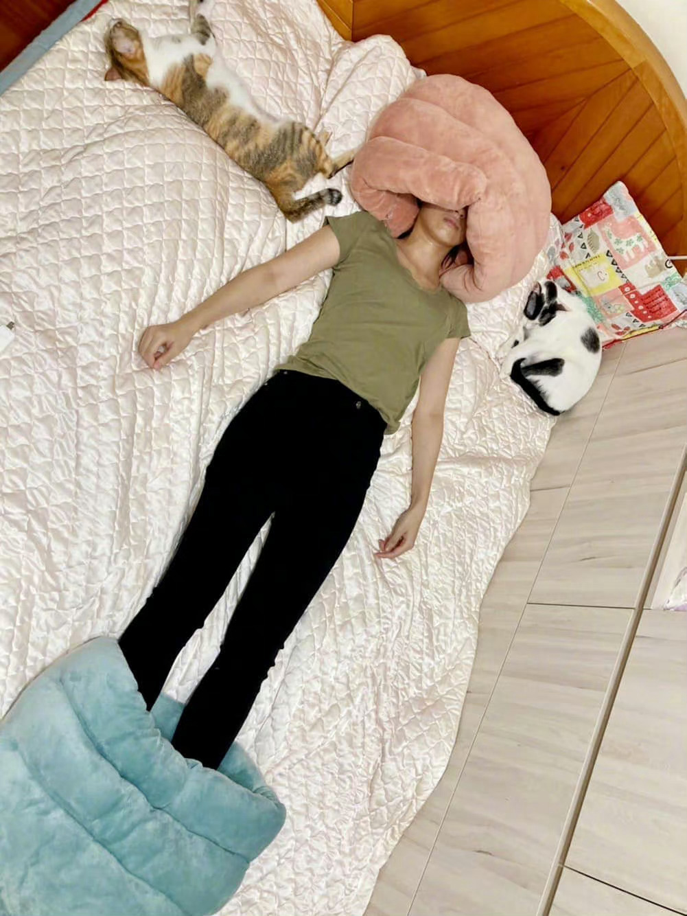 买了猫窝他们都不捧场，只能自己用了…… ​​​