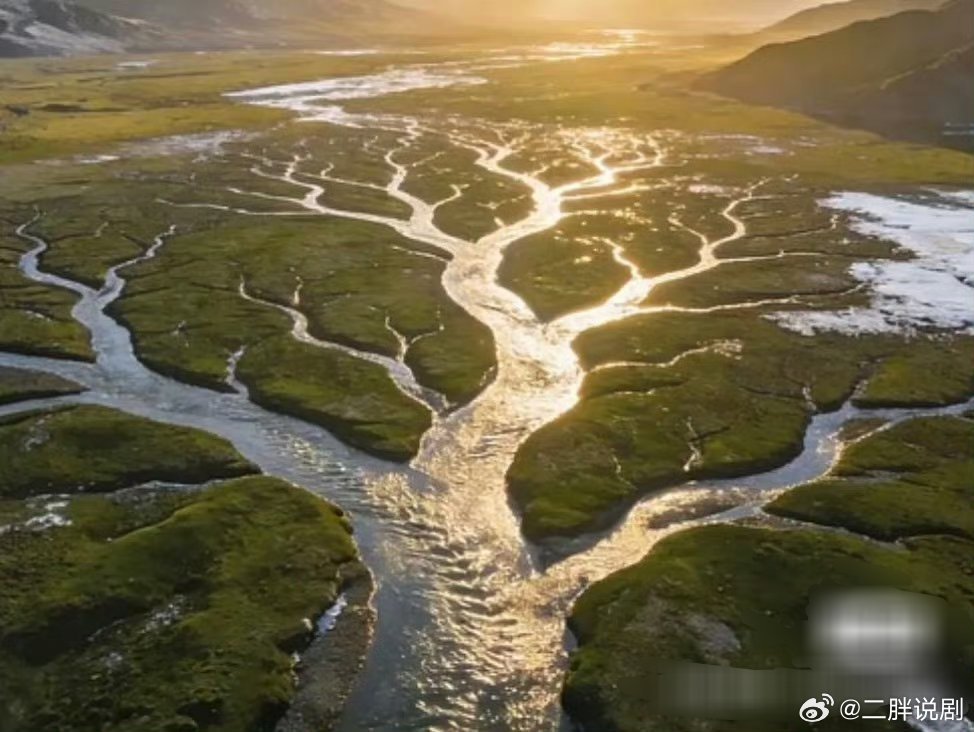 终于知道《生命树》是什么意思了原来三江源就是生命树啊有被震撼到这部剧立意太好了 