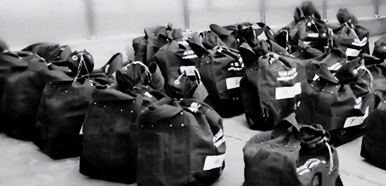 1985年11月，我国外交官何存峰乘坐美国客机飞往纽约，在飞行途中，何存峰去了一