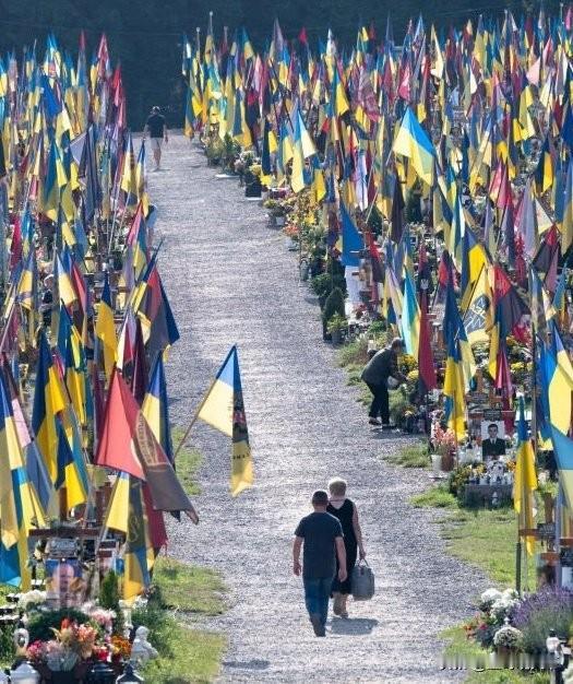 满满的旗帜，诉说着这场战争的残酷，当战争结束时，这场战争究竟是谁挑起的，又该承担