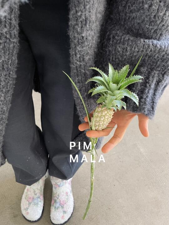 PIMMALA｜菠萝 一口一个的那种