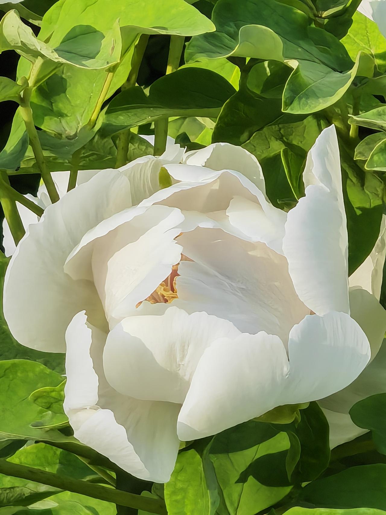 上证指数4000点就是个收费站，进出都要缴费。

今天又交了一缴费。

虽然又缴