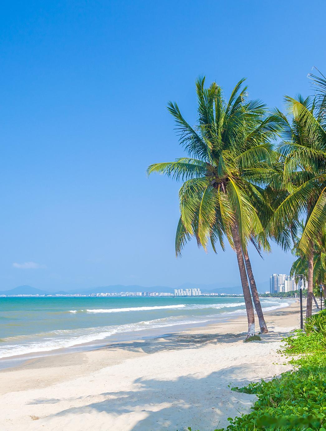 海南新职业机会爆发失业人员正想去啊不知道有哪些机会热热的海南，热乎乎的机会会等人