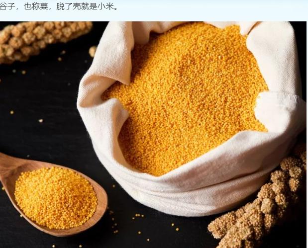 小米粥，华夏8700年的荣光

小米粥历史源远流长，可追溯到新石器时代，那时小米