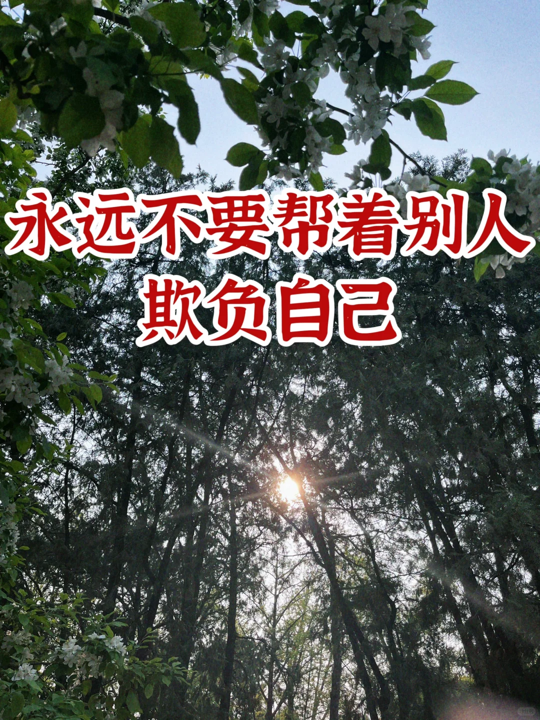 永远不要帮着别人欺负自己