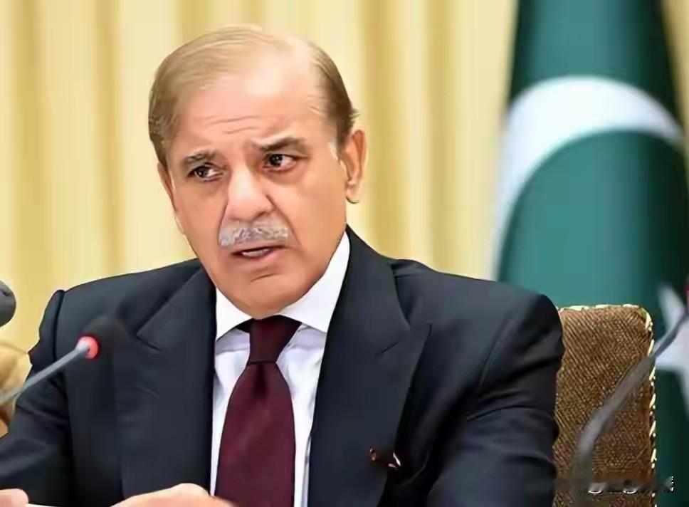 巴基斯坦自己也没想到，跟着中国混来混去，结果自己也混了一个霸主
 
巴基斯坦是中