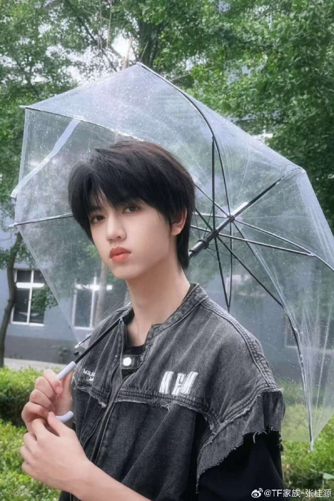 张桂源清透少年感张桂源小雨天氛围感 张桂源少年感 