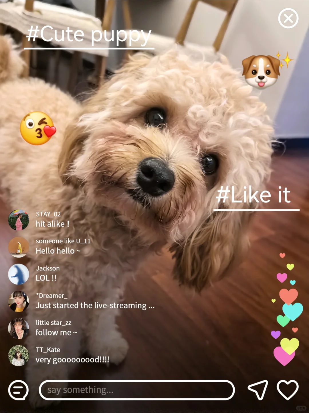 我可以当你的Jellycat吗？