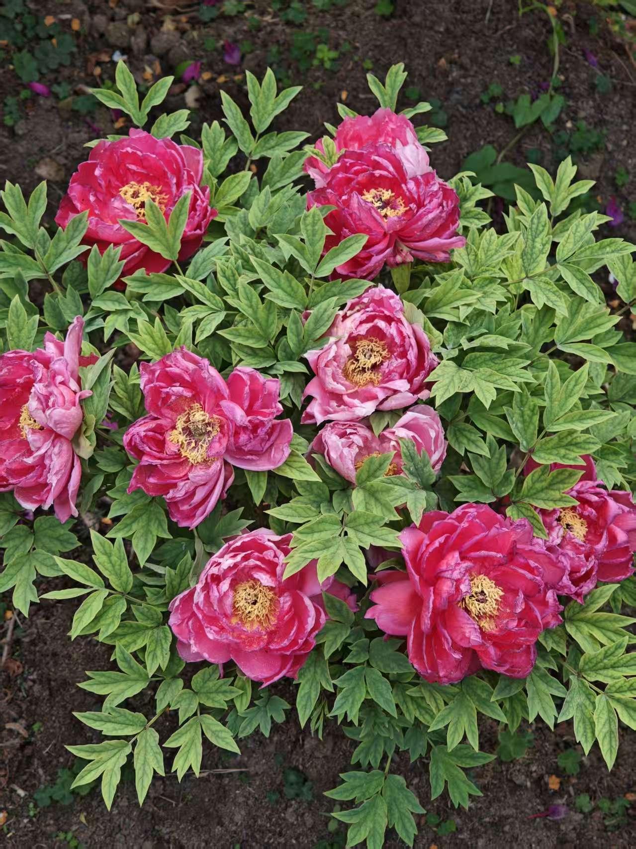 分享一下你随手拍下的照片