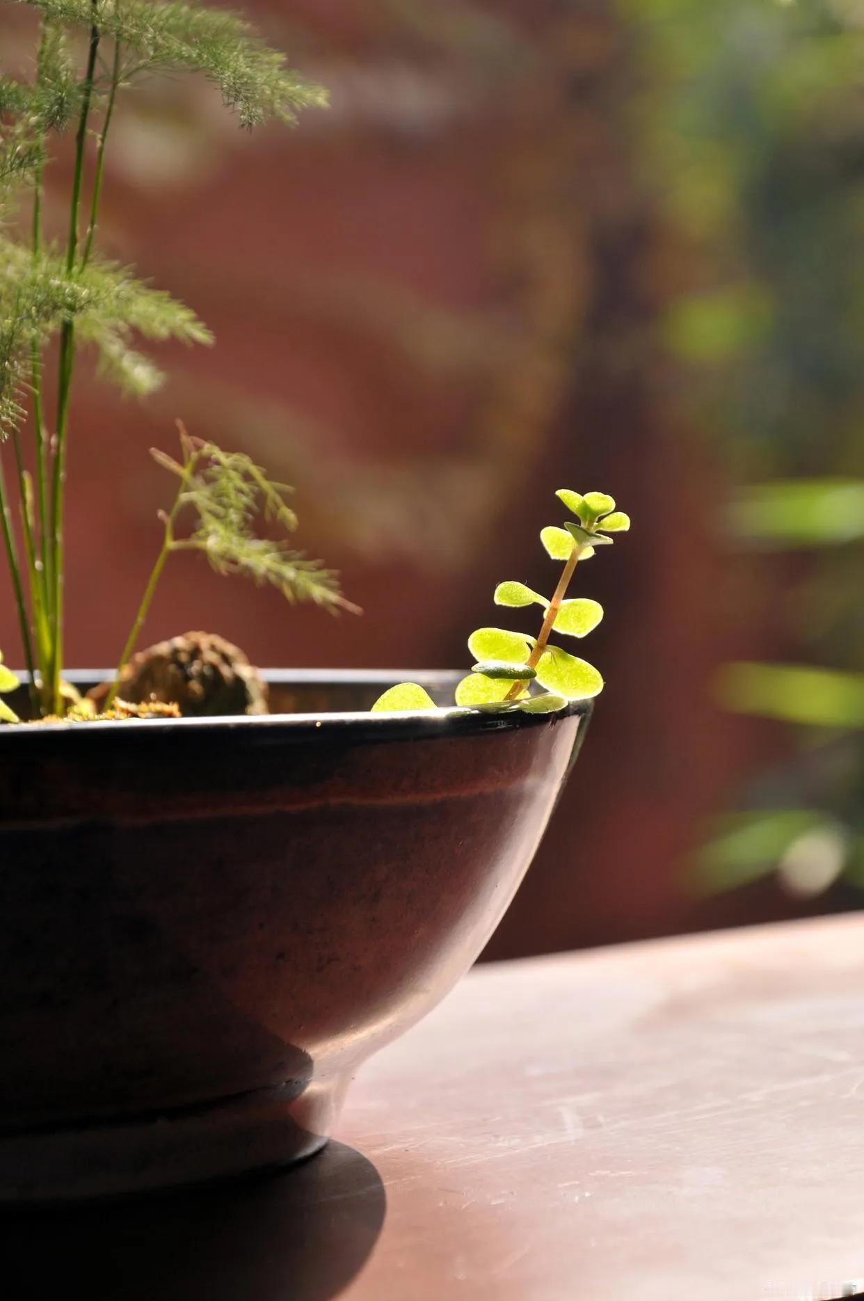 人到六十岁以后，你就会发现，如果你还想活的舒心一点，老了以后过得幸福一点，那你就