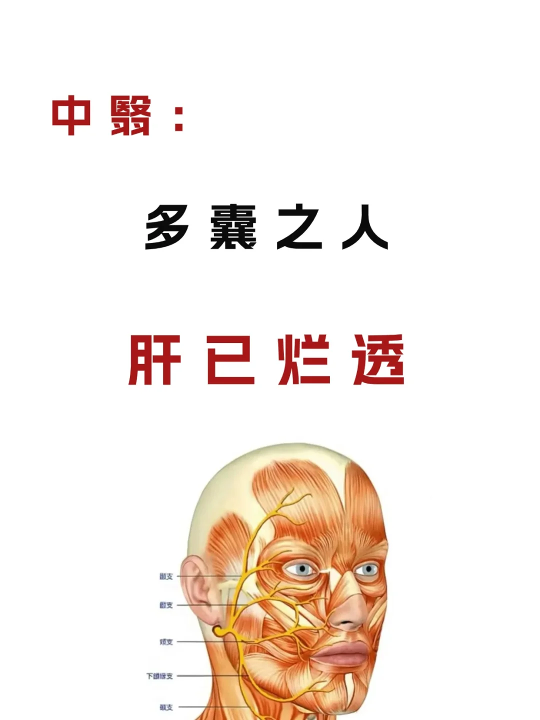 多囊之人，丙不在卵巢，而在肝