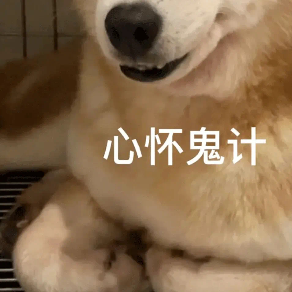 速度签收您的表情包 ​​​