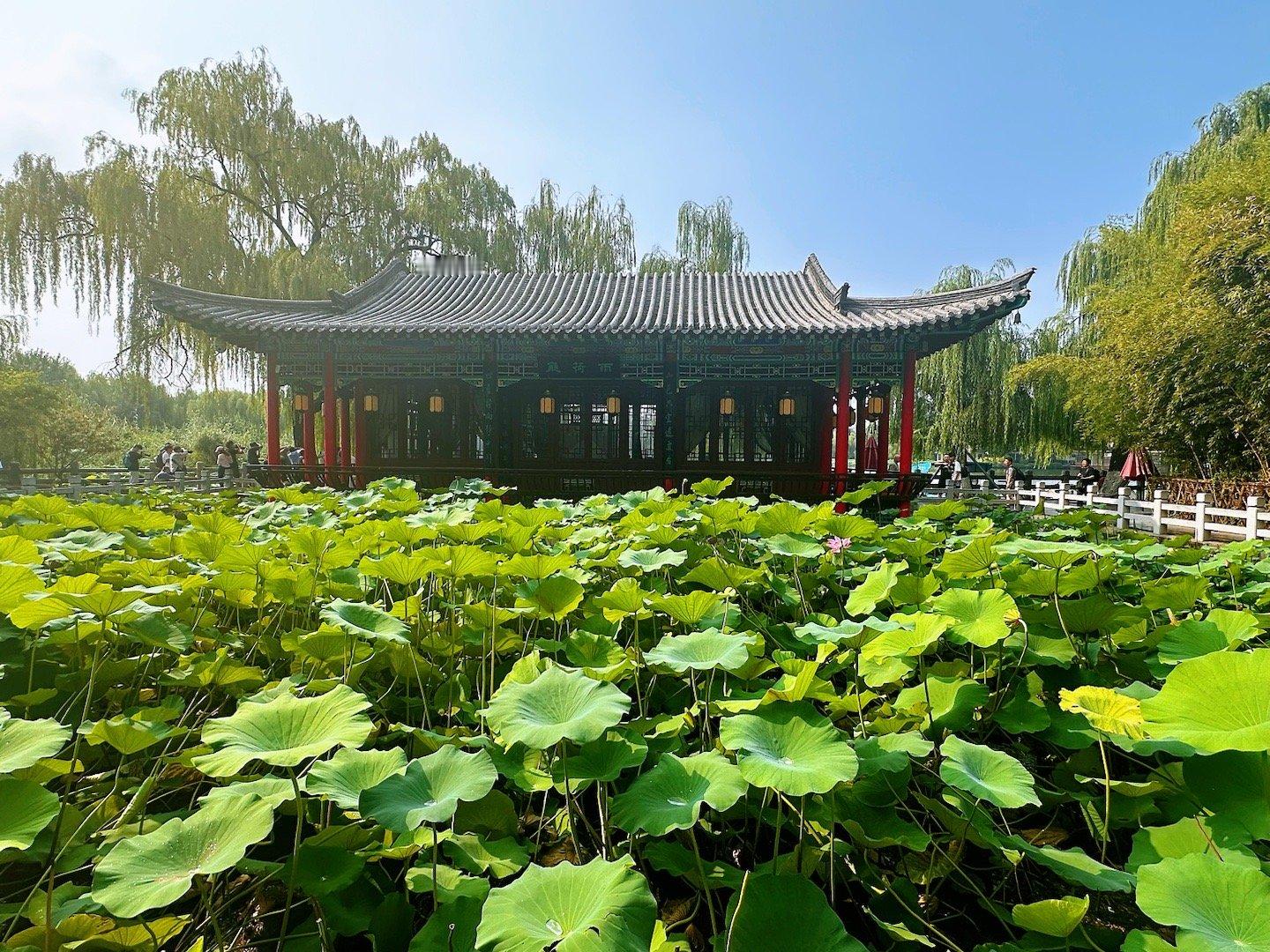 大明湖畔，天下第一泉。汇邦尼康Z6III尊享会马上开始，一切都在精彩中。  ​​