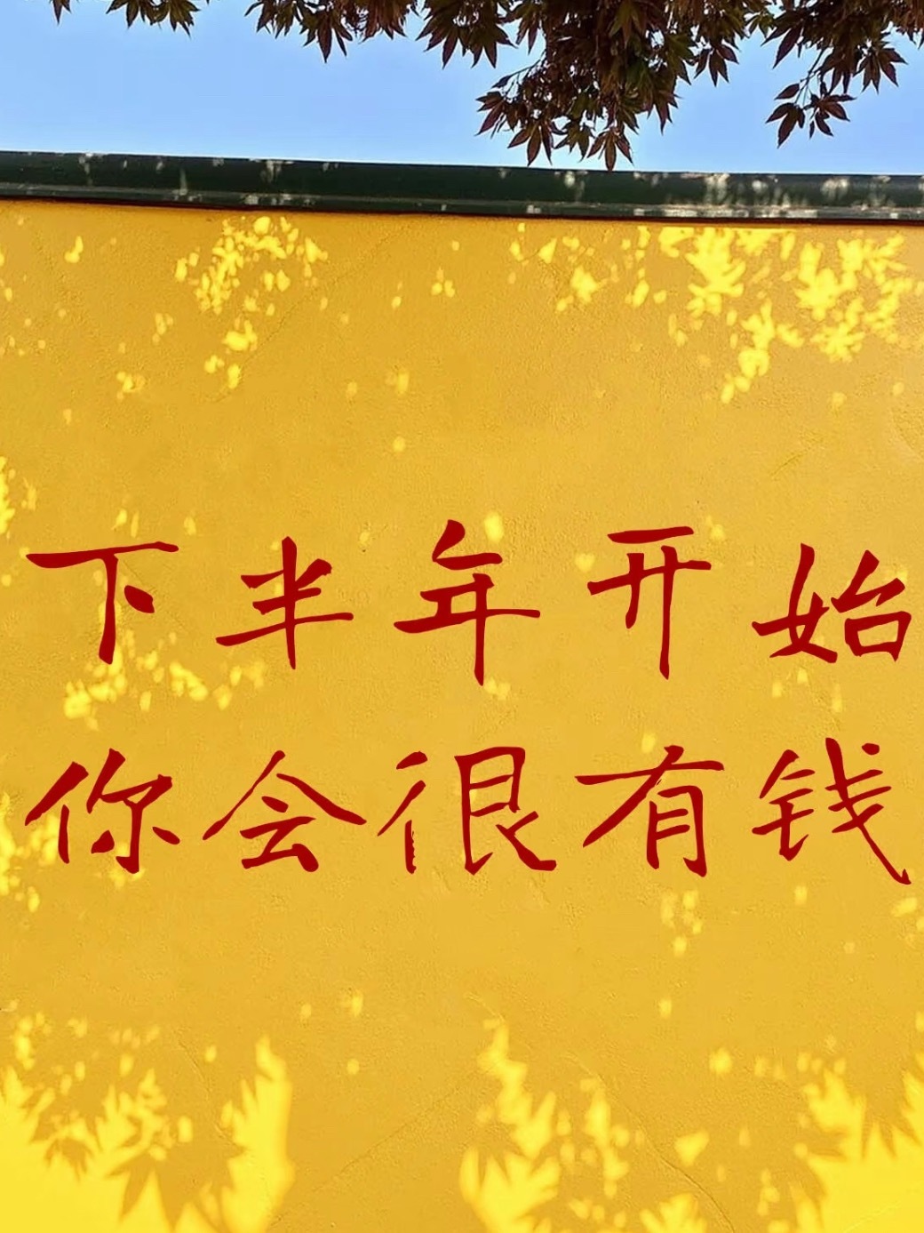 收到🫡 