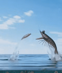 这个世界除了弱肉强食，难道就没有别的了？那这个世界存在的价值又是啥？人生的意义又