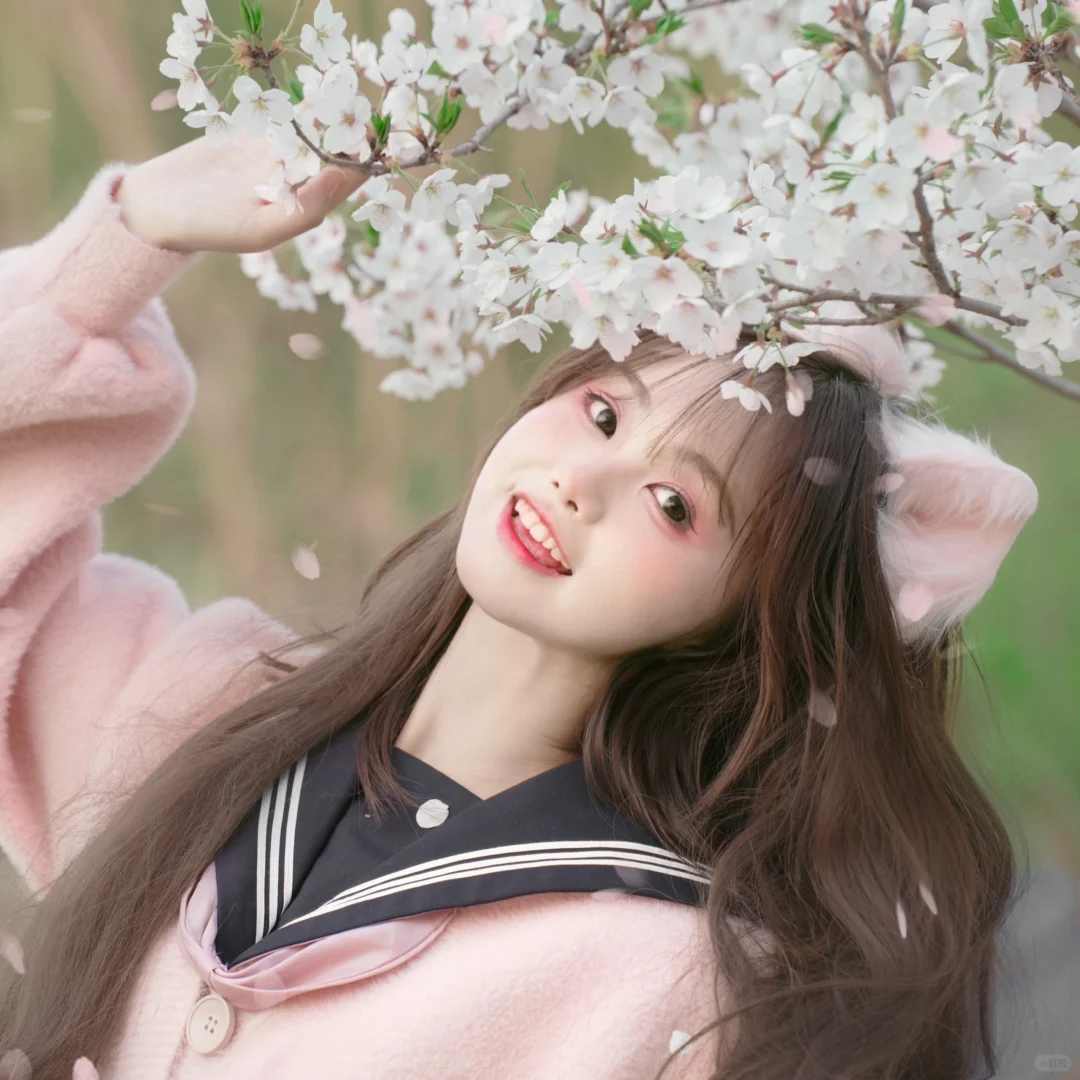 樱花小猫探头(๑ゝω╹๑❀)_|附花瓣雨教程