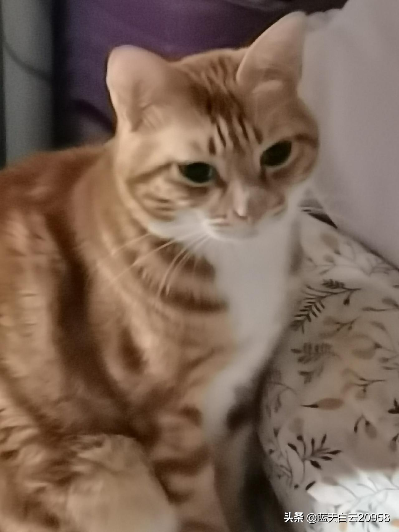 10年满仓套牢是什么心情？朋友看上一只票，这支票业绩好，年年分红，他看票从13元