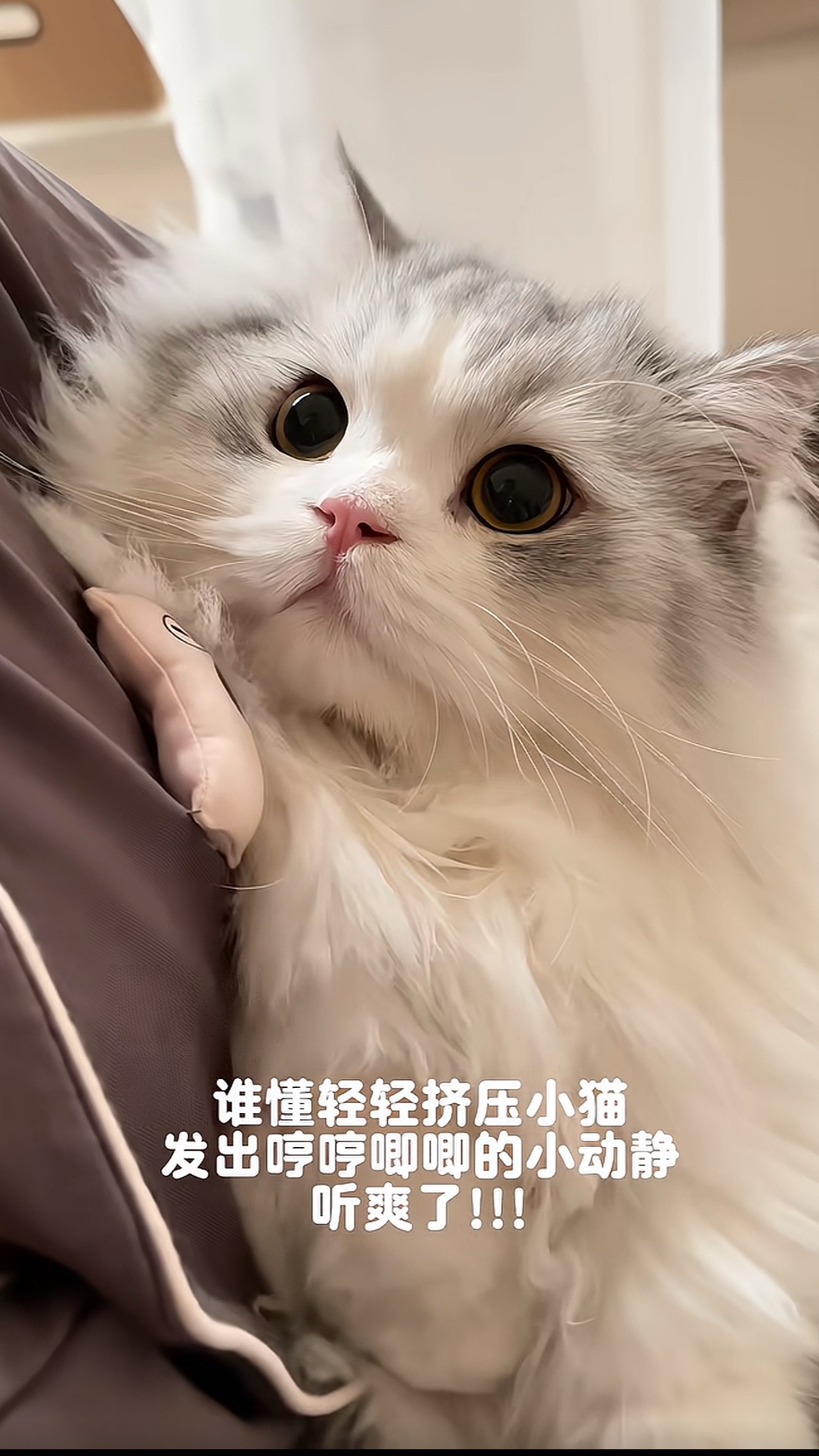 在49s的视频里有40s都在一夹就哼唧。 