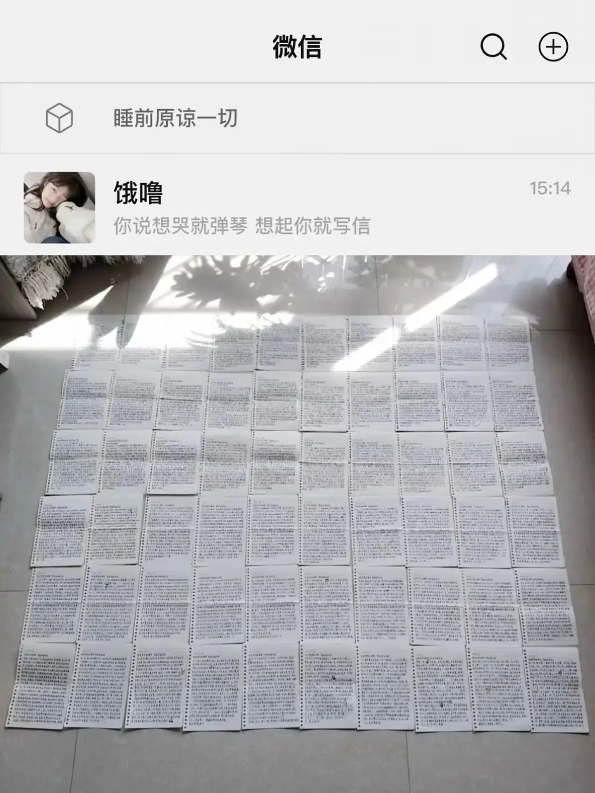 我写了好多不能给你的信