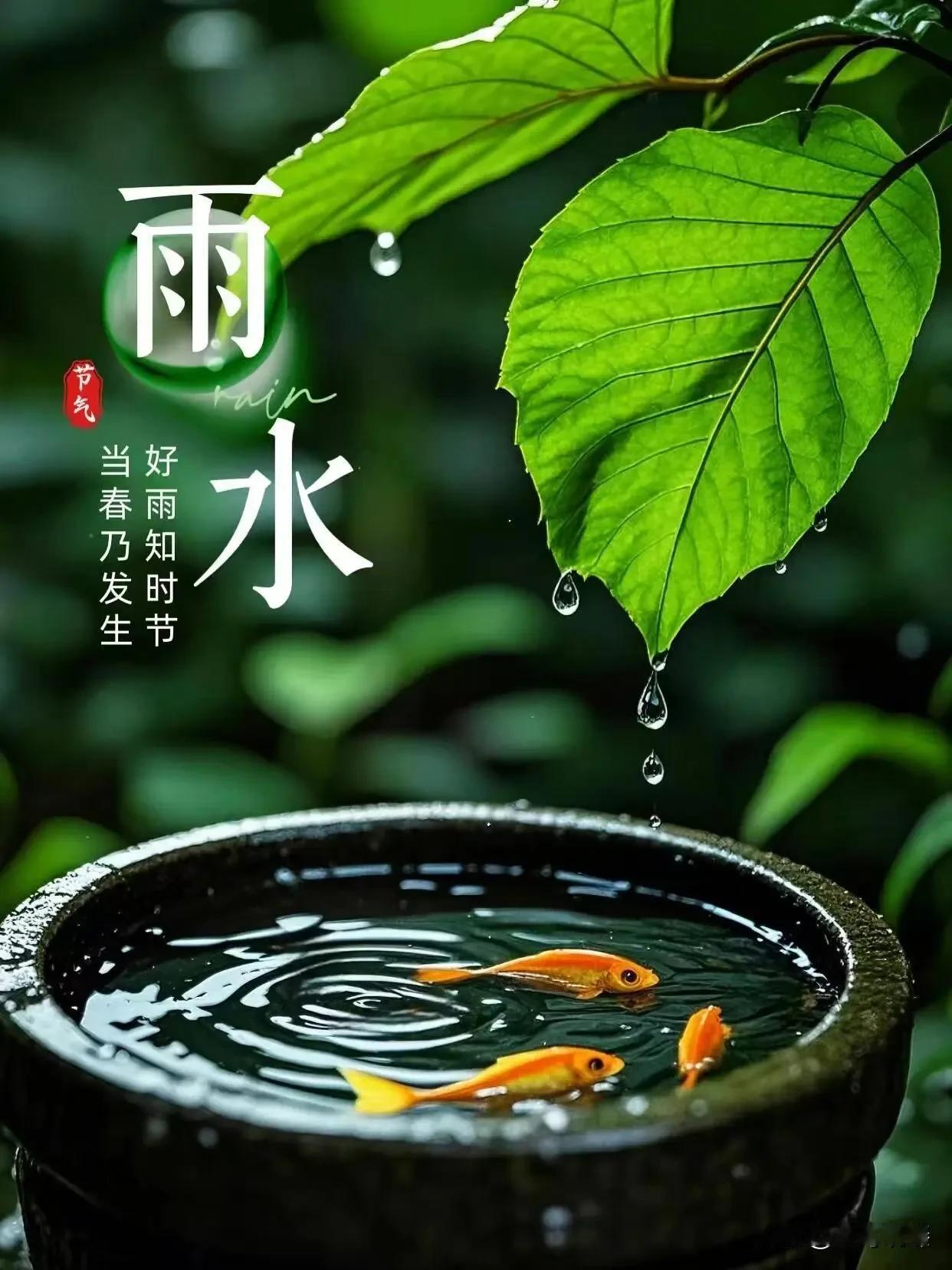 [微风]
雨水 🌧

节气到，
盼望雨水冲走你的忧愁烦恼，
冲走你的哀伤烦躁，