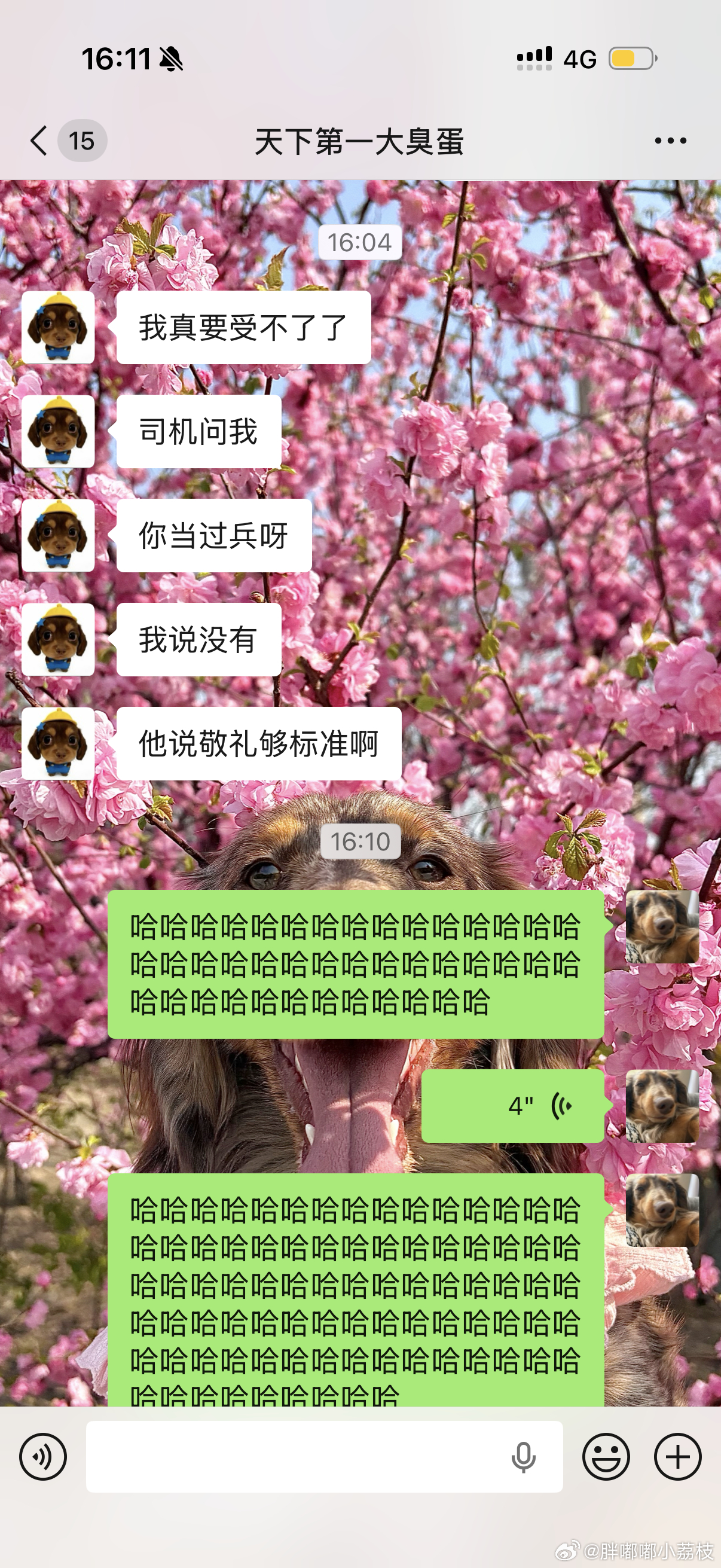 差点笑死我 刚才送程哥上车 我就开玩笑 冲他敬了个礼目送他远去 结果他说司机师傅
