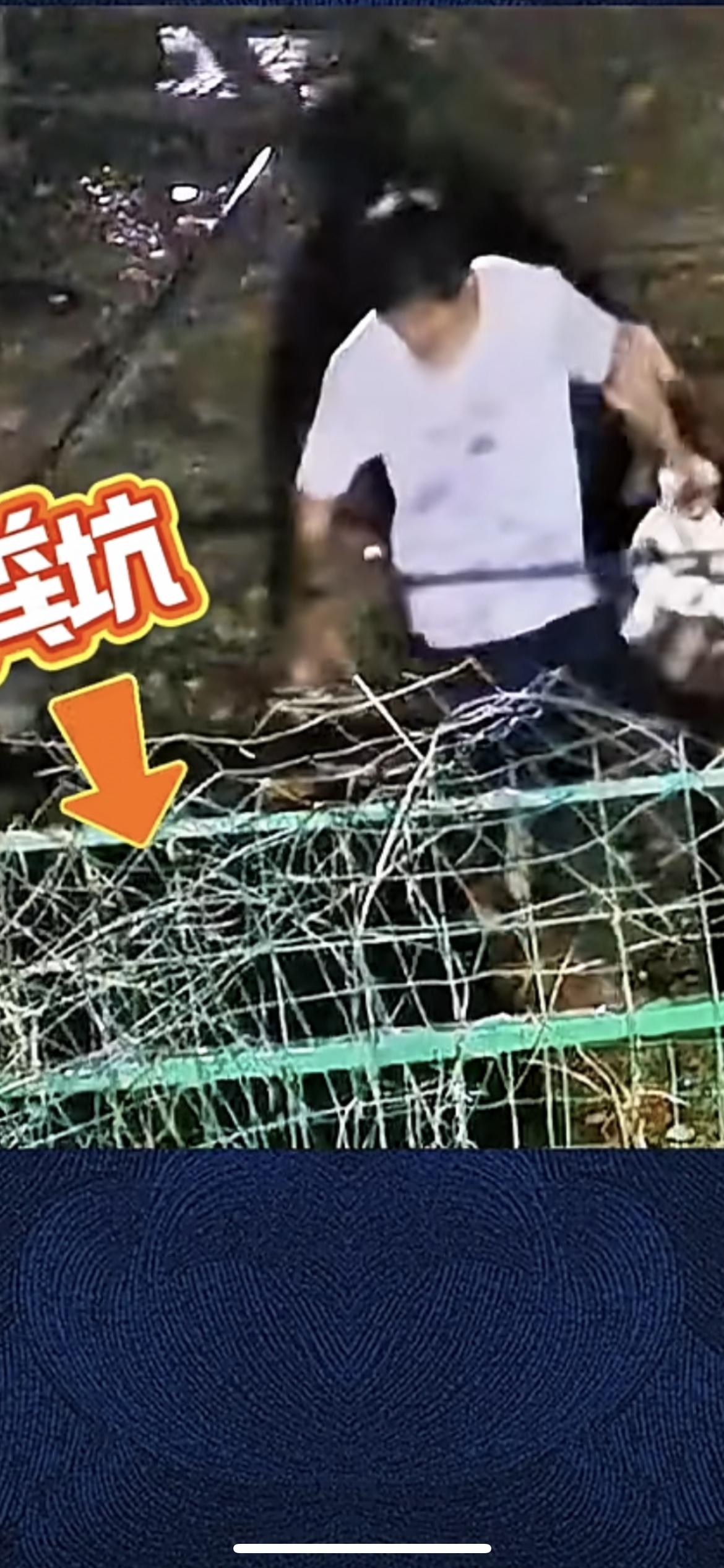 “偷鸡不成蚀把米”！男子酒后偷鸭子，逃跑时不慎掉进粪坑中。民警很快抓获男子，他一