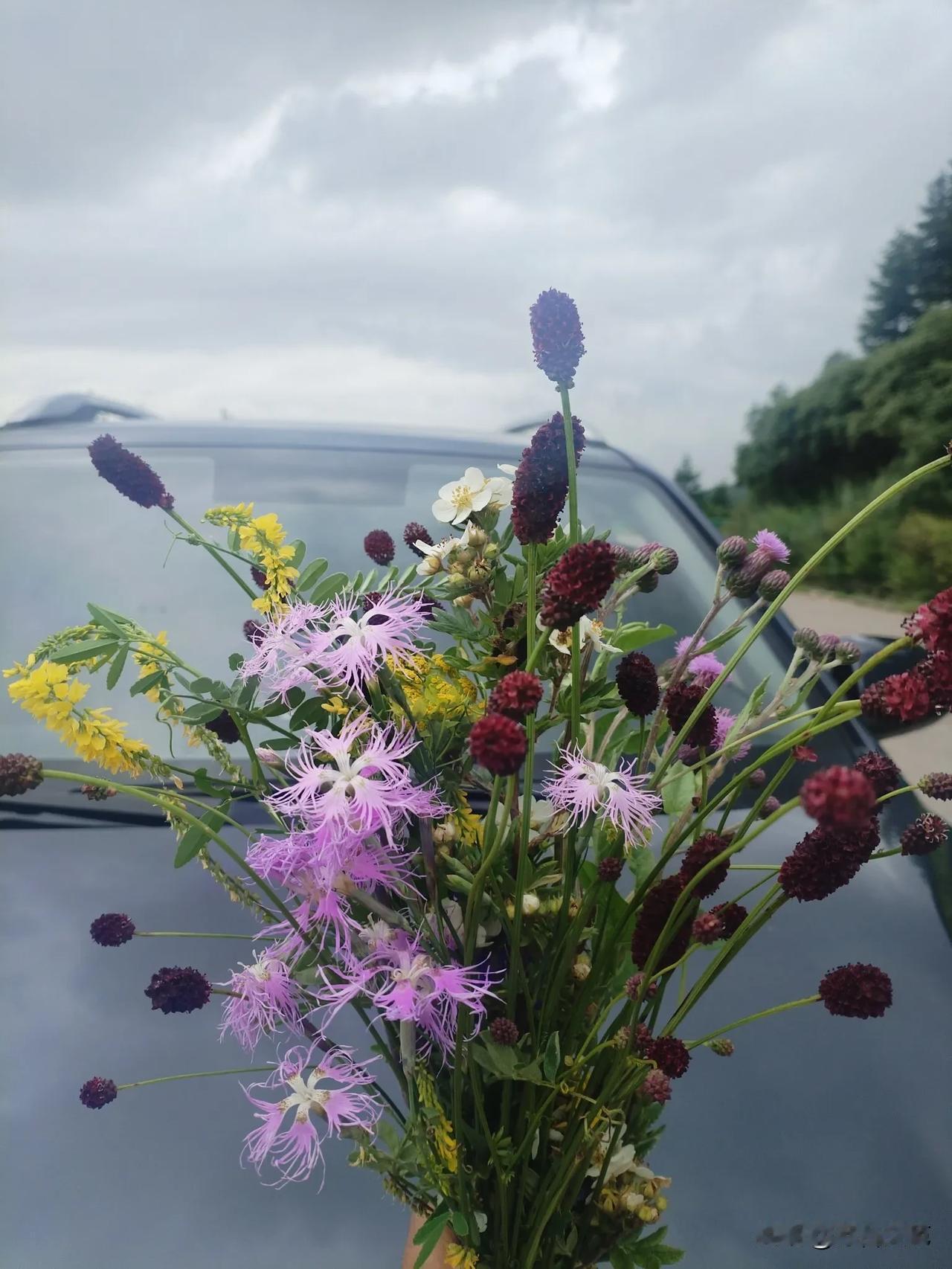 不堪回首

文//白雨

“让人心绪不宁的事物
总也找不到源头”

河水营养不良