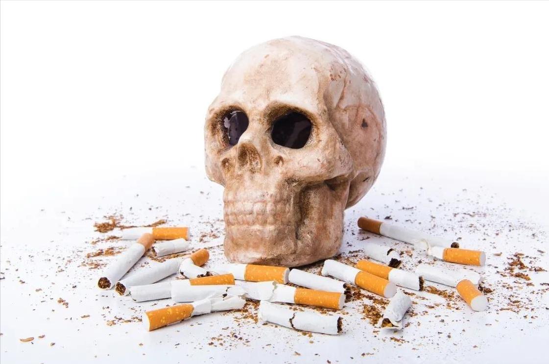 吸烟军费哥进来看看，今日头条的用户抽象程度在我心中已经成功取代小红书了。

根据