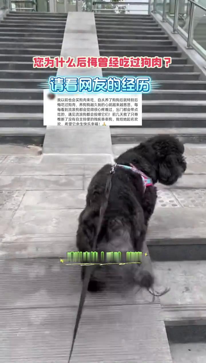 您为什么后悔曾经吃过狗肉？请看网友的经历。
我以前也会买狗肉来吃，自从养了狗狗后