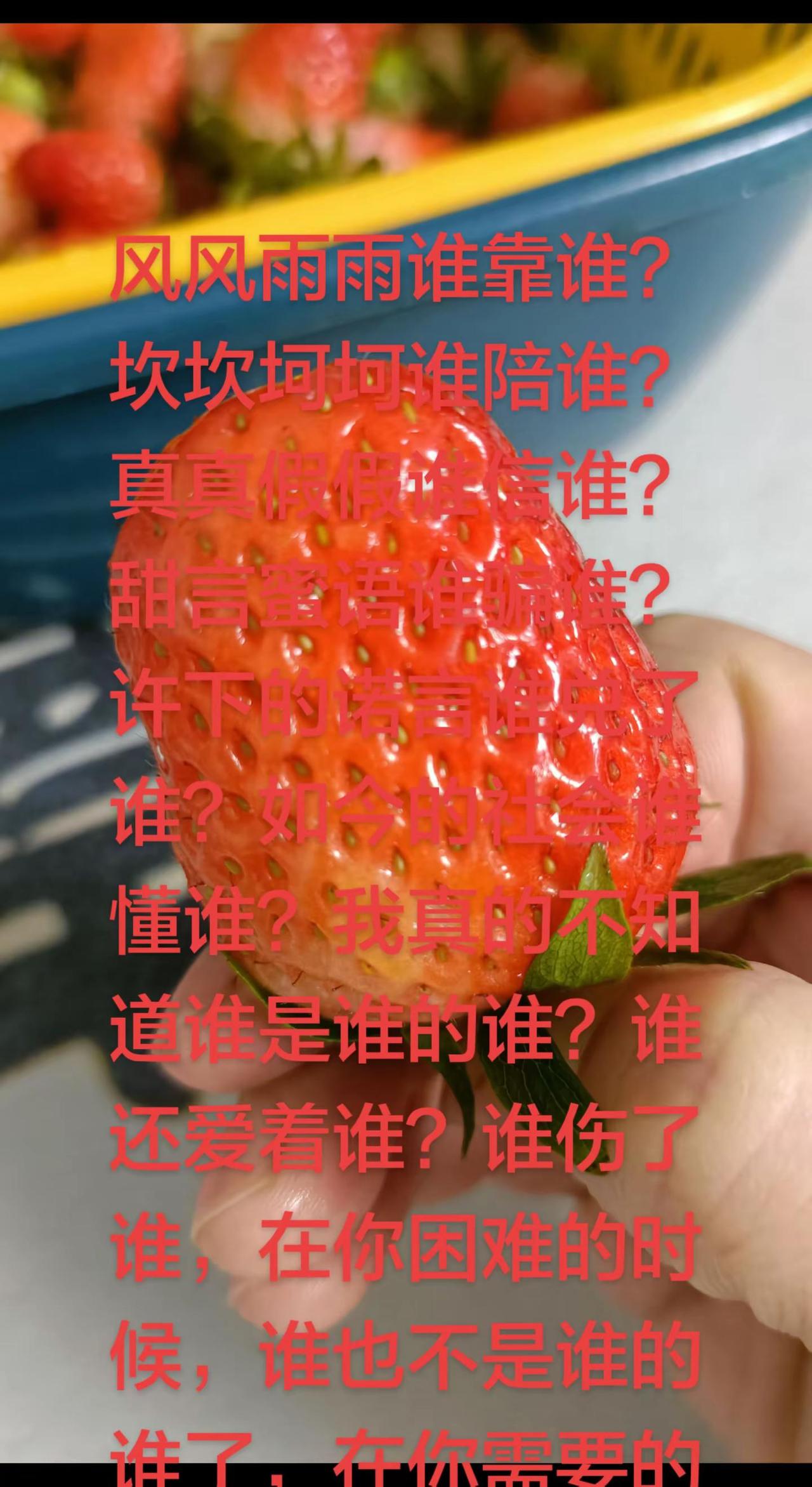 风风雨雨谁靠谁？坎坎坷坷谁陪谁？真真假假谁信谁？甜言蜜语谁骗谁？许下的诺言谁兑了