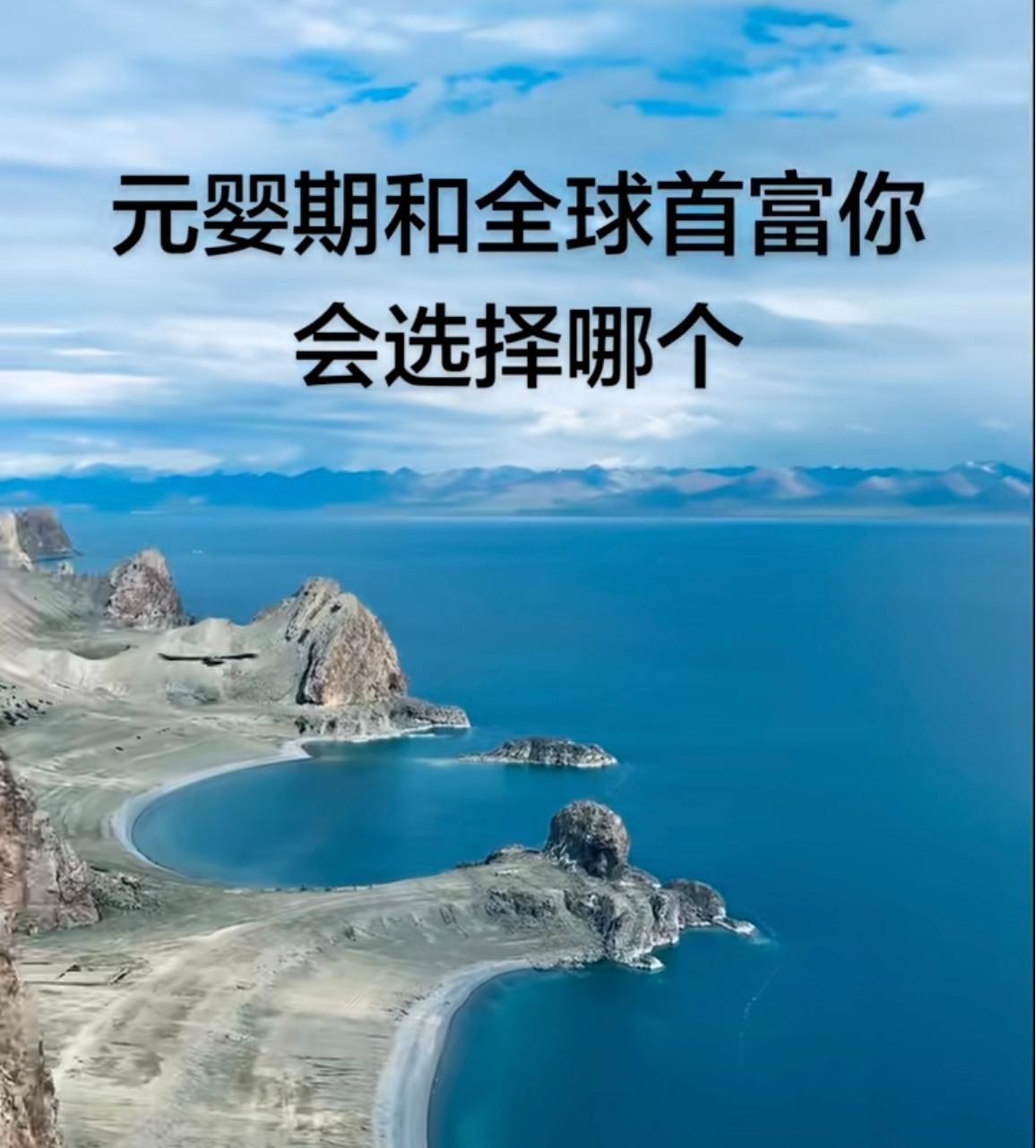 首富能请很多元婴期吧[灵光一闪]
