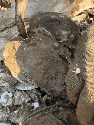 不懂就问，
这个好吃吗？