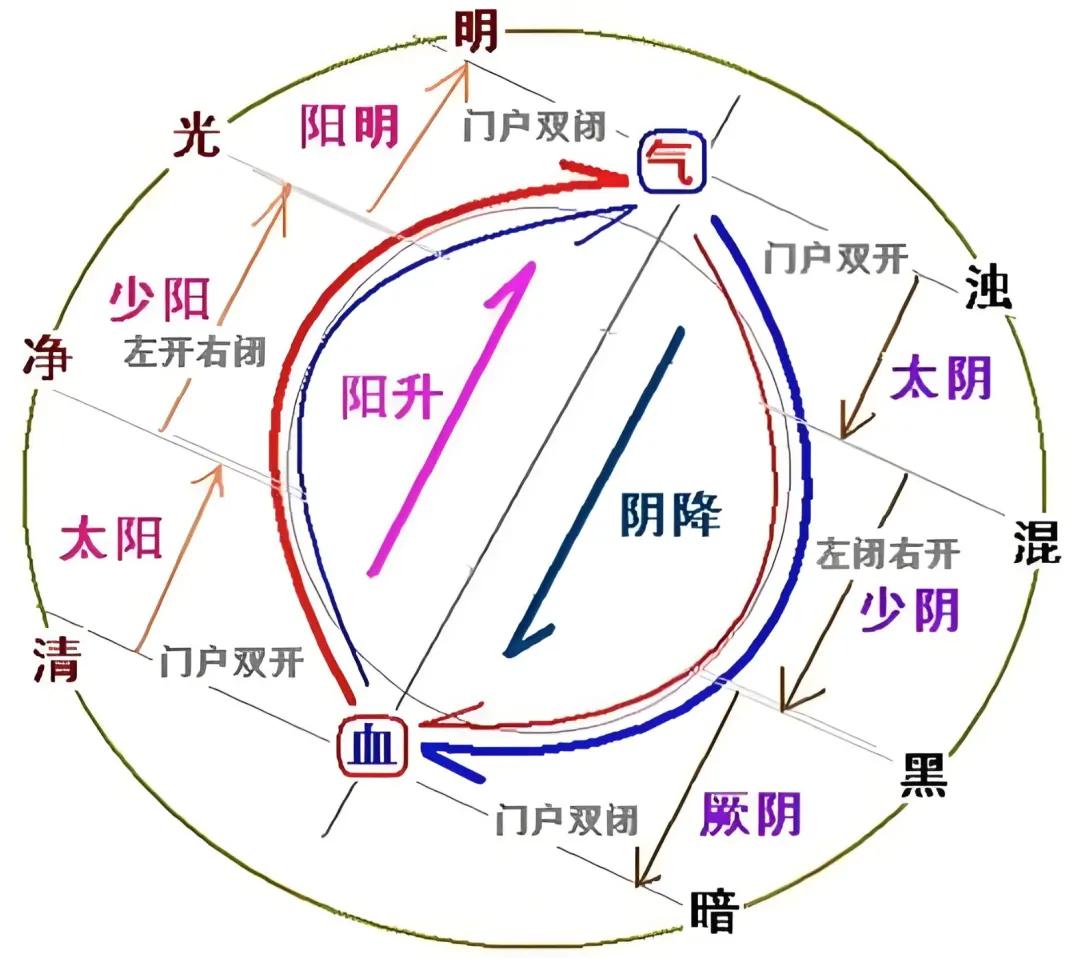 老师说热水内灸，关键在于小口趁热饮，可边吹边饮。人心惟危，道心惟微，微中显道，百