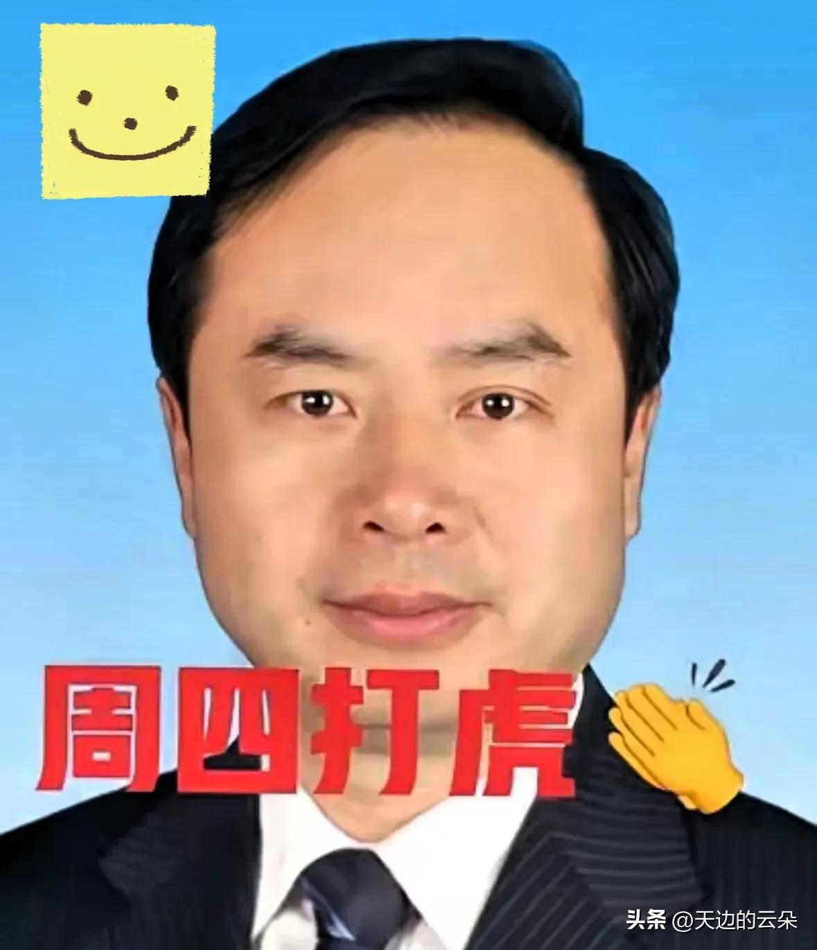 刚刚，
又一位退休高官被查，
真是让人惊掉下巴！

64岁的王奇，曾是个光鲜亮丽