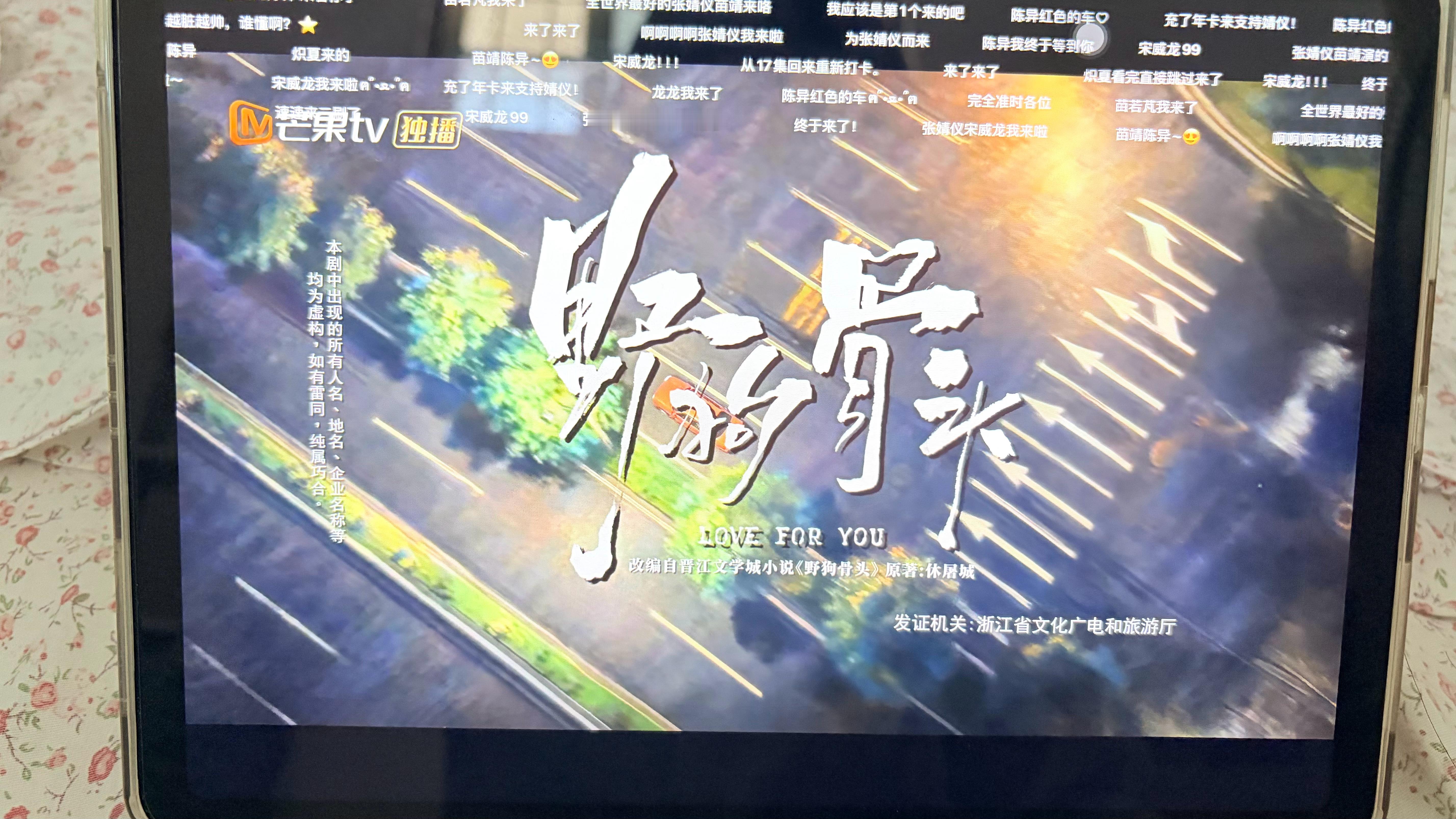 严肃开看野狗骨头 