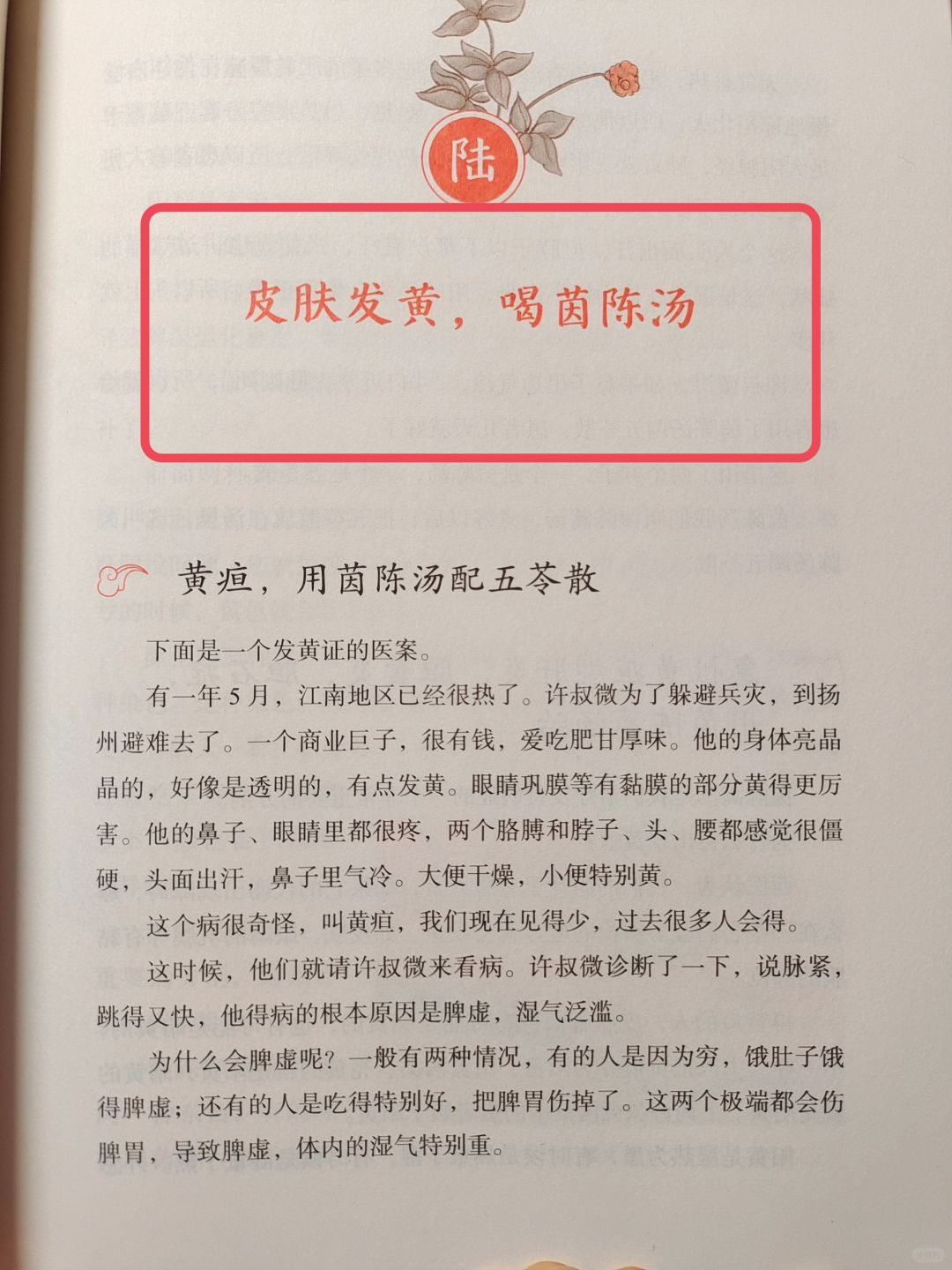 罗大伦老师——皮肤黄？茵陈汤的使用思路