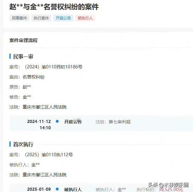 @赵丽颖 状告金某某名誉权纠纷案，金某某“喜提”38525元强制执行款，这下可真