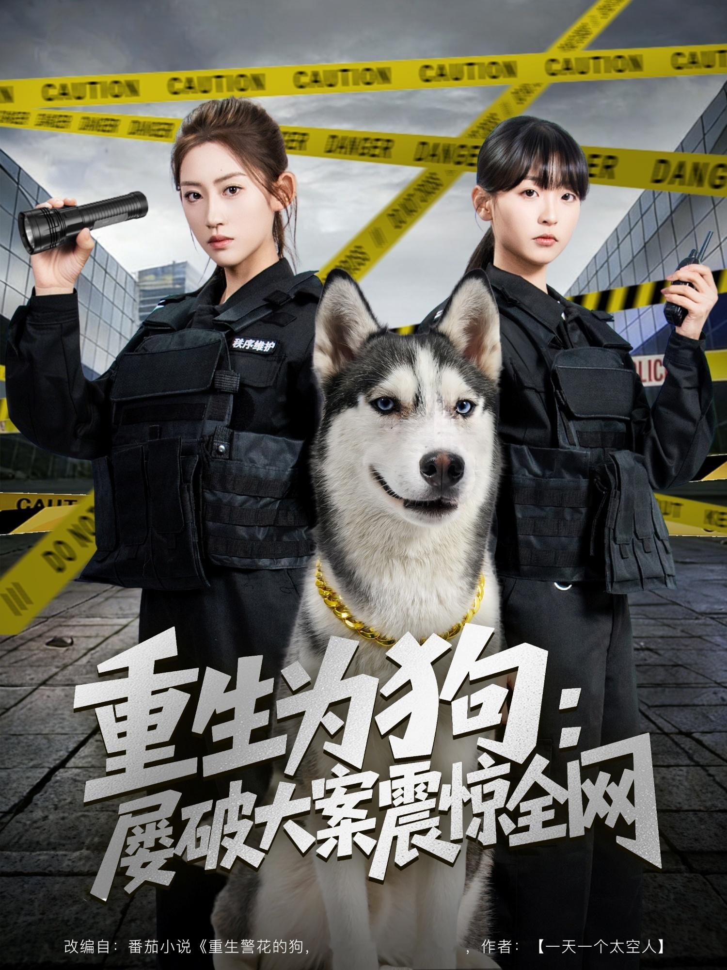 只有在半夜人少的时候悄悄🐎一下这狗长得真不错我有空一定要看这个 