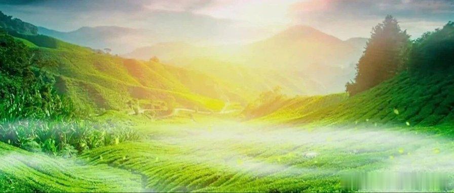 【晨曲】《早安，晨曲！5月16日 三月三十 星期六快乐！》有事搜一搜，没事看一看