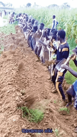 这就是磨洋工吗？[泪奔][泪奔][泪奔]