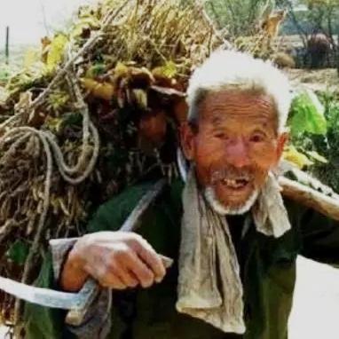 这三个人我觉得左边这位老农对国家贡献最大，另外两位对国家没有什么贡献，不知道大家