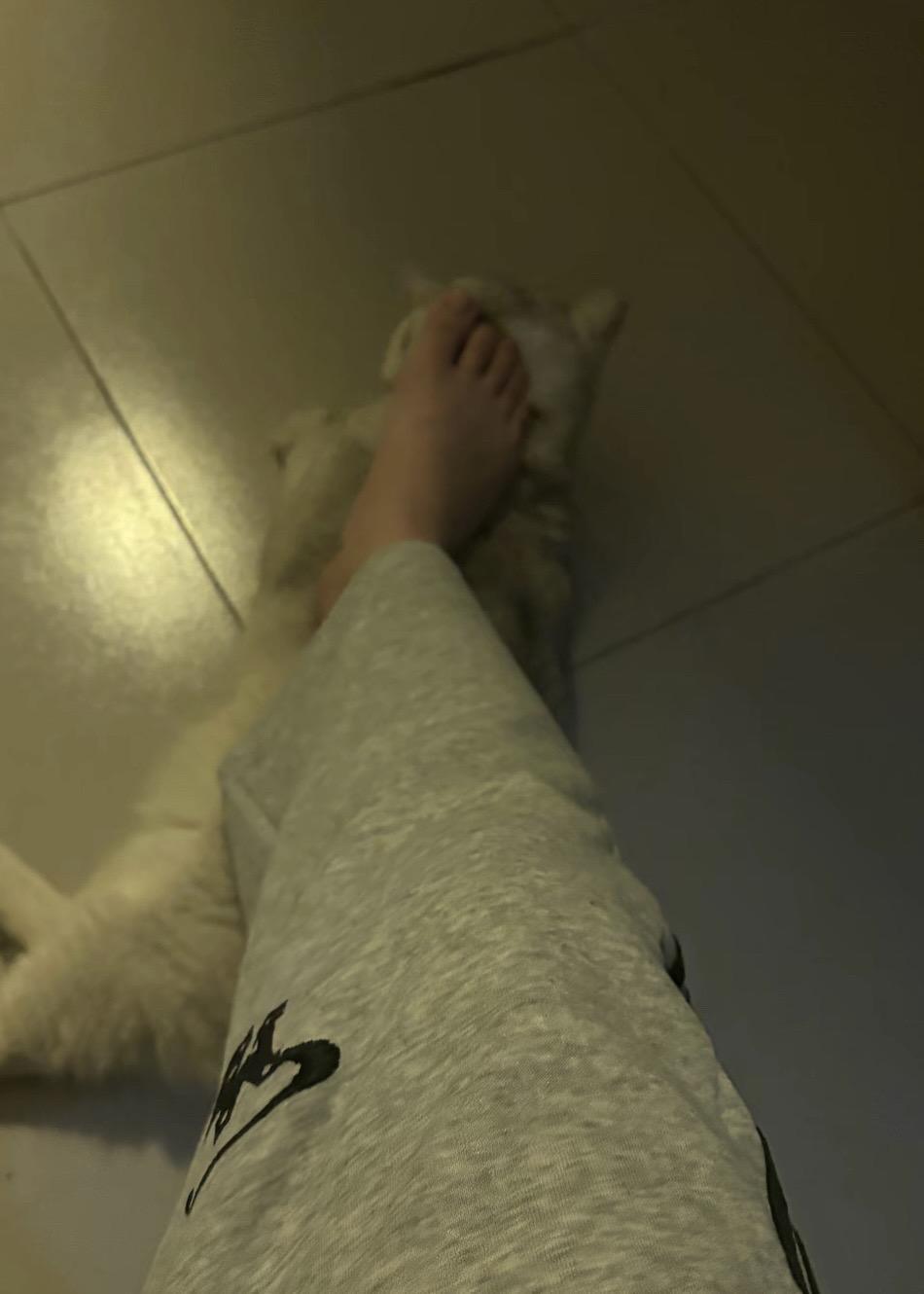 腿精本精 脚丫 jio 袜子 无处安放的小jio