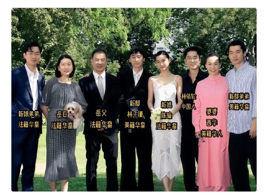 俩家族就一个中国人[捂脸]，像这种就直接写国籍，没必要加个华裔，既要又要的。华籍