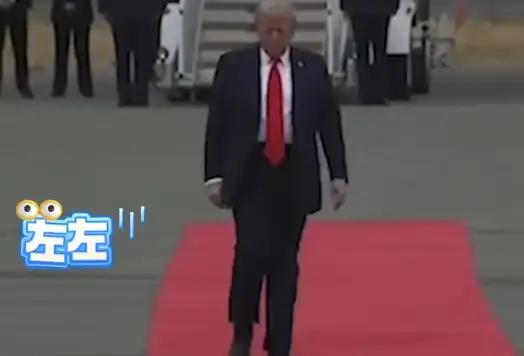 特朗普又病了！

是的！
因为在我看来，他以前就是个病人，正常人不会那么癫狂！