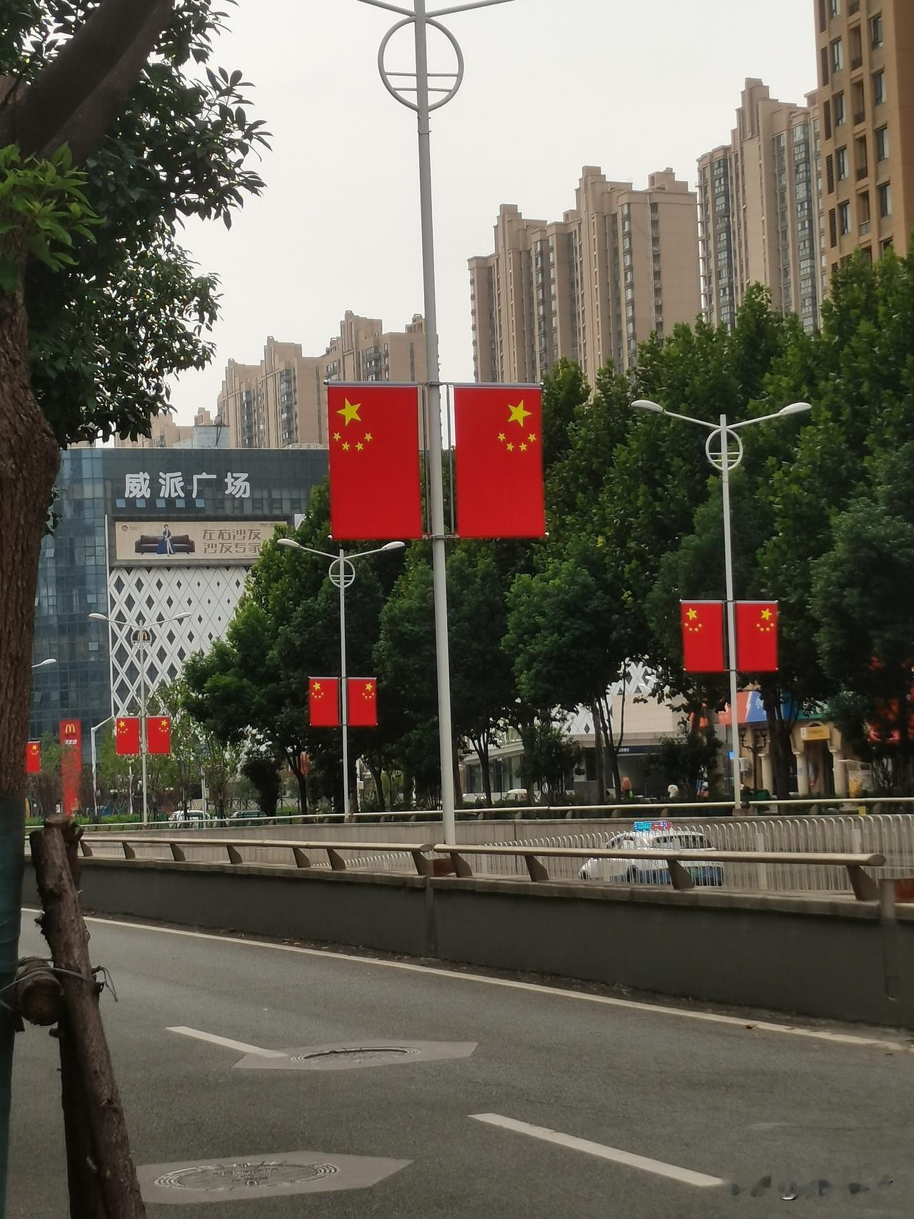 今年国庆节四新南路头一次挂满红旗！

每年国庆，武汉的主要街道挂满五星红旗已经成