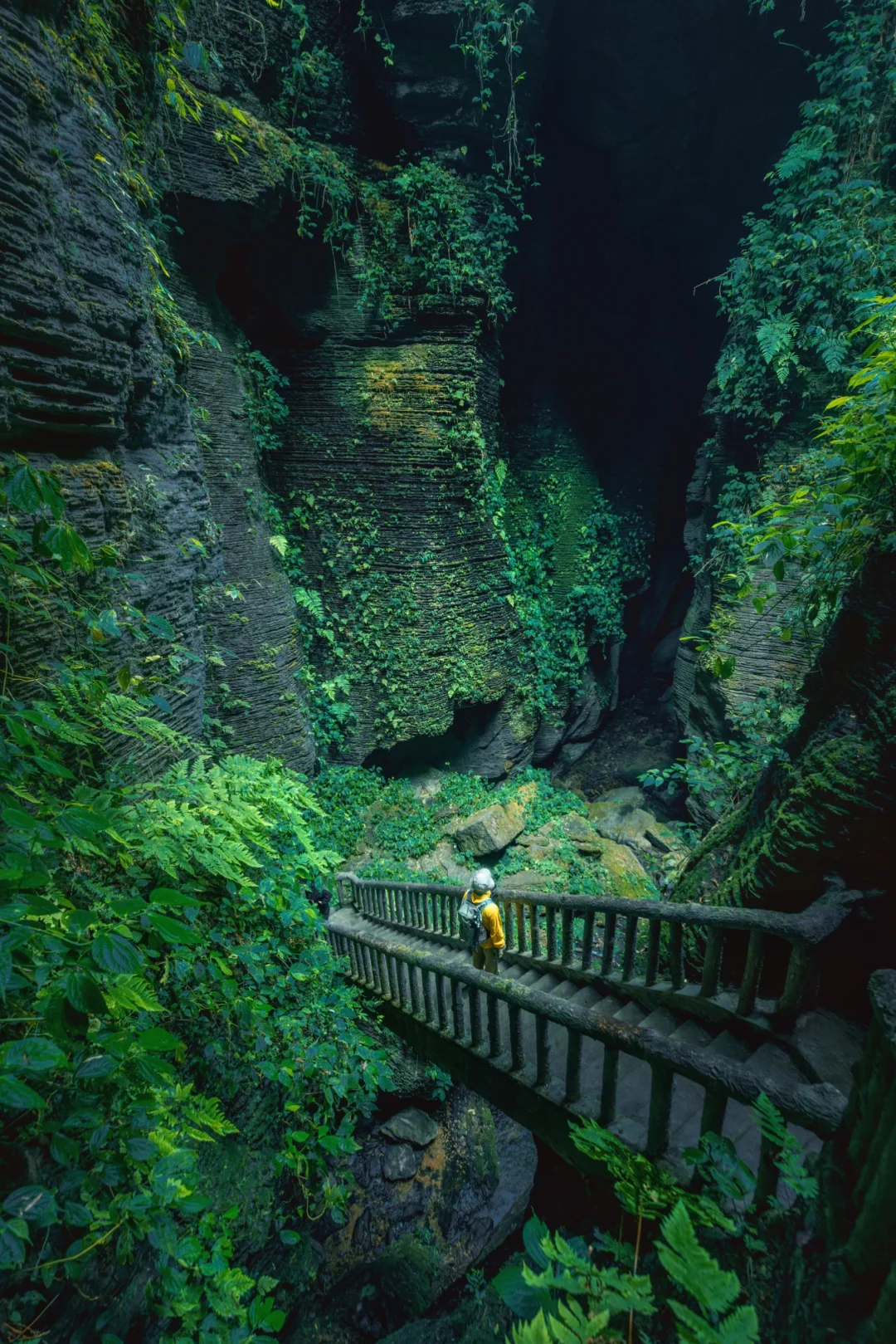 寻找和我一样喜欢拍“绿色”的人