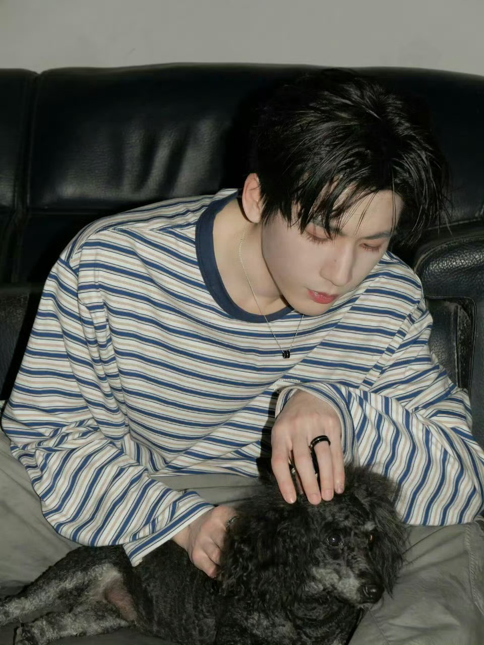 张凌赫这条ins两小时破五十万👍🏻张凌赫ins更新萌照