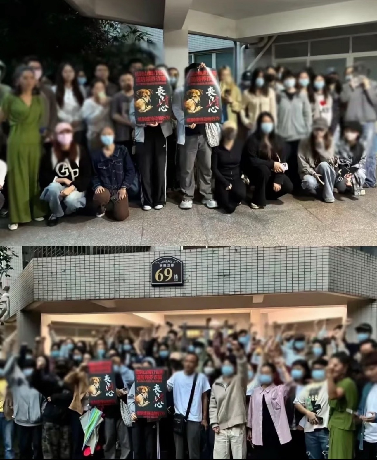 山姆打包哥虐狗事件受害者发声地球不只是人类的地球，我们必须给其他物种生存空间，必