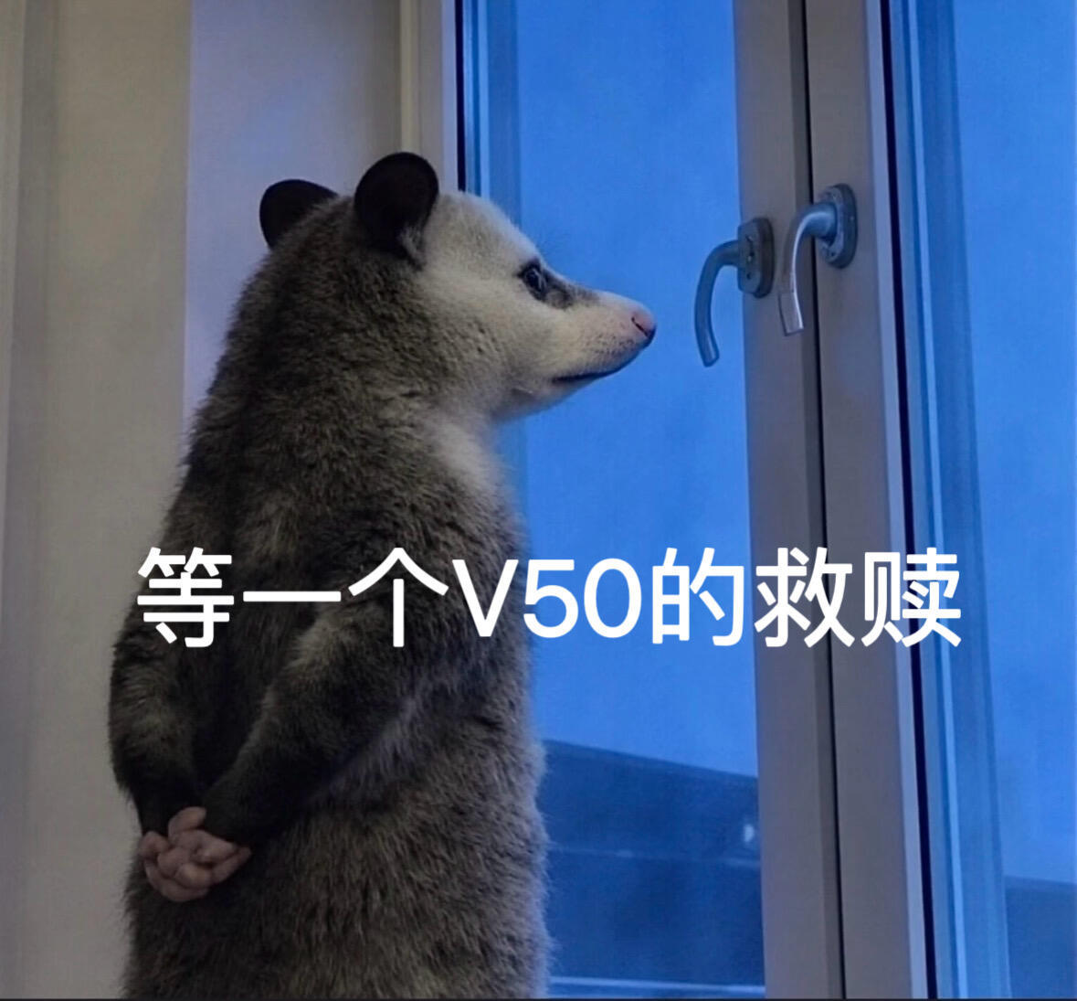 锄禾日当午明天是周五负鼠表情包 ｜今天周四明天周五 ｜想下班的风吹到周五 ｜开始