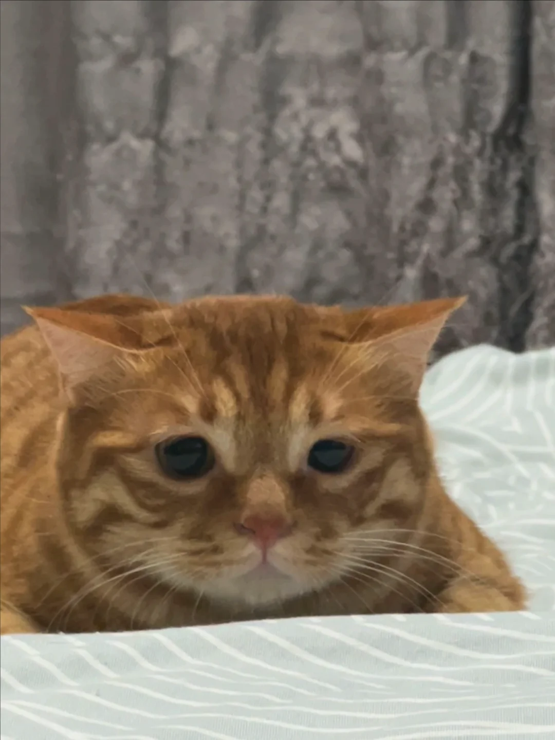 心事重重